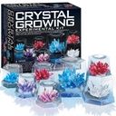 4M Crystal Growing Experimental 00-03915/Us