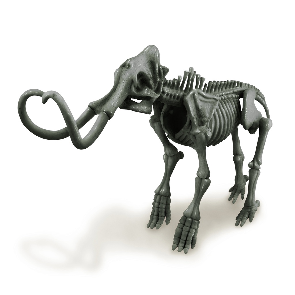 Dig a Mammoth Skeleton 00-03236