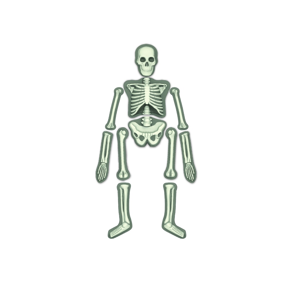 4M GLOW HUMAN SKELETON 00-03375